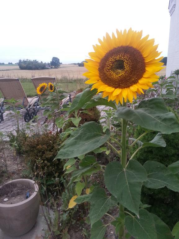 Roskilde B&B Gadstrup Kültér fotó