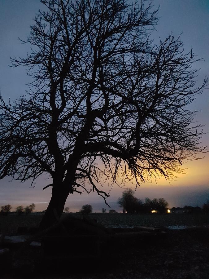 Roskilde B&B Gadstrup Kültér fotó