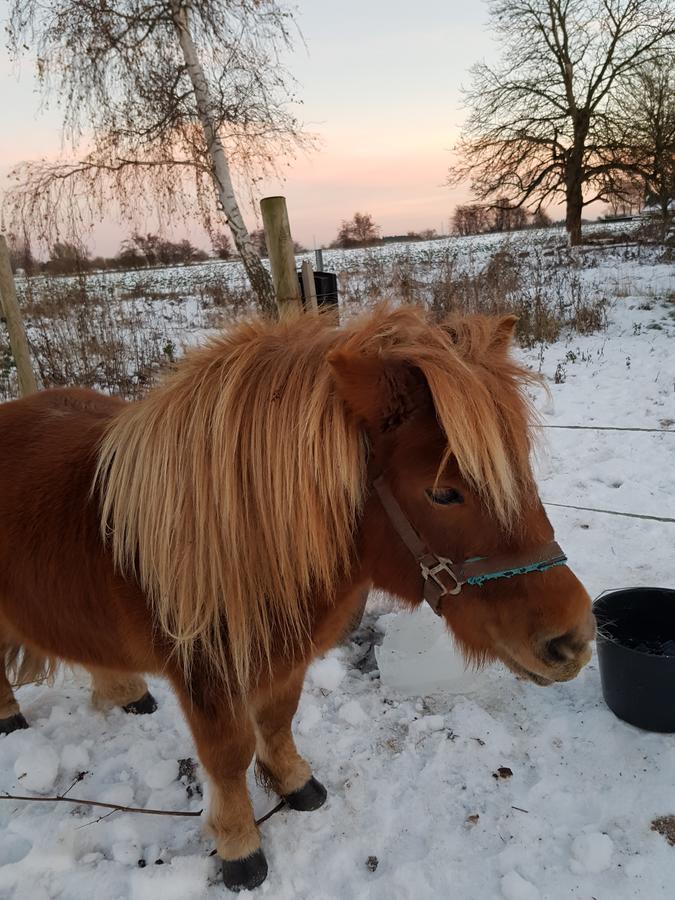 Roskilde B&B Gadstrup Kültér fotó
